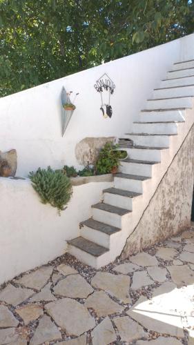 a staircase with a white wall and some plants at Quinta Castilho in Fortes de Cima