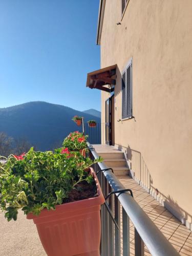a balcony with plants and flowers on a building at IL MORO sulla via del Ponte in Sellano