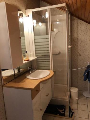 une salle de bain avec un lavabo et une douche dans l'établissement Villa Belles Rives, à Bellerive-sur-Allier