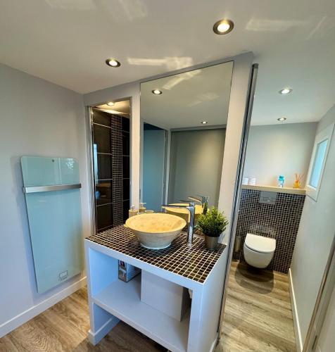 une salle de bain avec un lavabo, des toilettes et un miroir dans l'établissement Vue Mer Climatisé - 11 pers, à Saintes-Maries-de-la-Mer