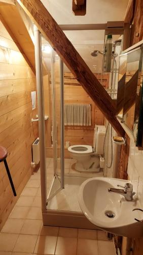 une salle de bain avec un lavabo et des toilettes dans l'établissement Chalet Familial spacieux et chaleureux, à Abondance