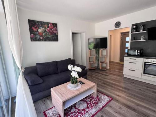 Sorinas Home WB16 Top 11