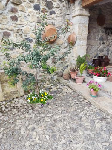 a bunch of potted plants on a stone wall at Casa museo "Sa domu de ziu Antoneddu" in Tuili