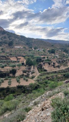 a view of a valley in a mountain with trees at Entre el mar y la montaña in Jijona