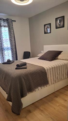 Acuario stay