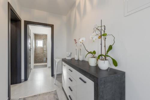 a kitchen with a counter with vases and plants on it at Apartmani Sofija in Bibinje