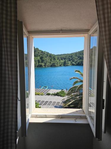 a window view of a lake from a house at Apartments Angela in Goveđari