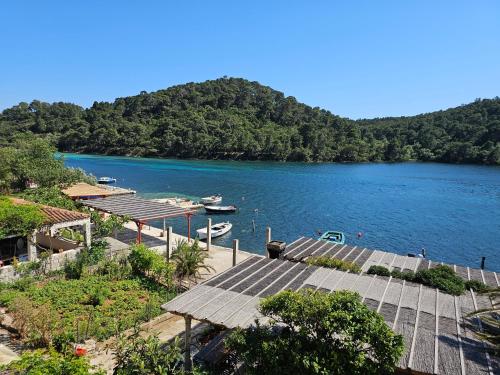 a view of a lake with a boat dock at Apartments Angela in Goveđari