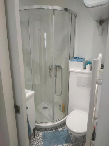 une salle de bain avec douche et toilettes dans l'établissement Charmant studio au calme, à Paris