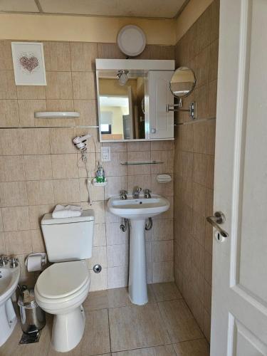 a bathroom with a toilet and a sink and a mirror at Terminal Suites El Calafate in El Calafate
