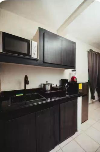 a kitchen with black cabinets and a microwave at Departamentos Los Cabos 1 in San José del Cabo