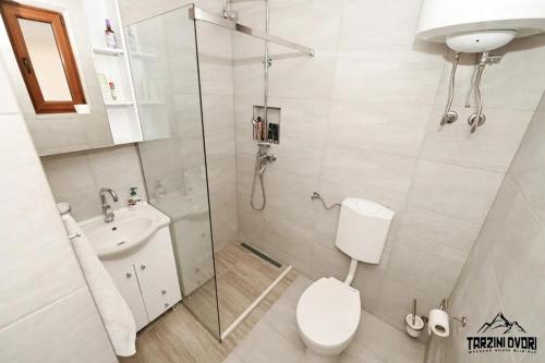 a bathroom with a shower and a toilet and a sink at Vikendica Tarzini dvori - privatnost na 2000m2 in Tomislavgrad