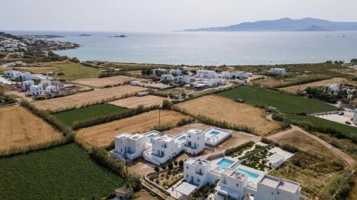 Ktima Mira photo 2
