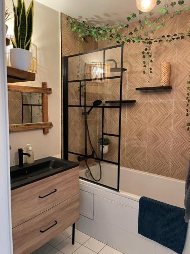 une salle de bain avec un lavabo et une douche dans l'établissement Superbe appartement quartier Timone, à Marseille