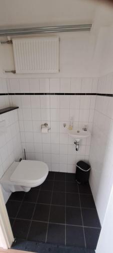 a bathroom with a toilet and a sink at Rancho Bejarano in Kollumerpomp