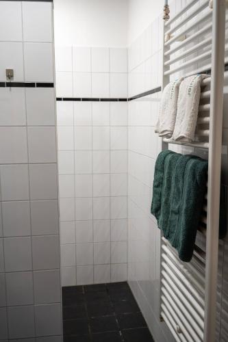 a bathroom with a shower with green towels at Rancho Bejarano in Kollumerpomp