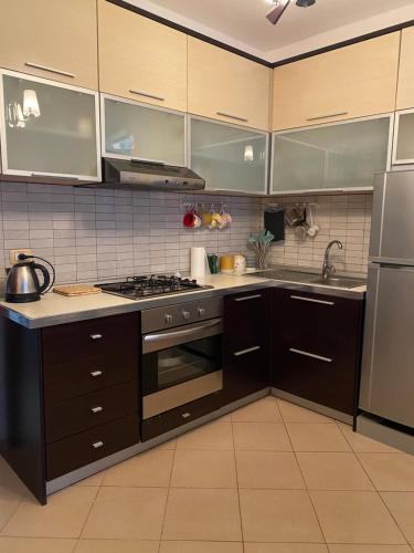 Virtuve vai virtuves zona naktsmītnē Flat Ani