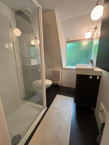 a bathroom with a shower and a sink and a toilet at La Cachette De Durbuy - Chalet 203 in Durbuy
