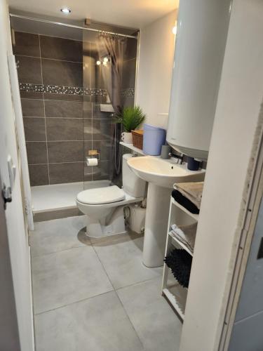une salle de bain avec toilettes, douche et lavabo dans l'établissement Bas de Villa, à Marseille