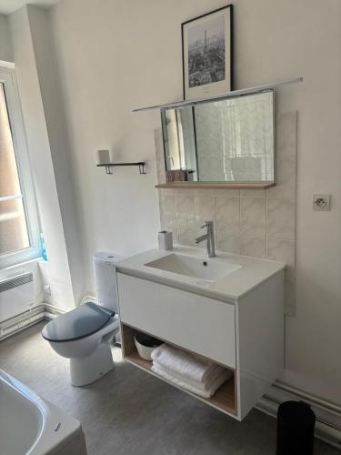 une salle de bain avec un lavabo blanc et des toilettes dans l'établissement Appartement cosy centre-ville, à Falaise
