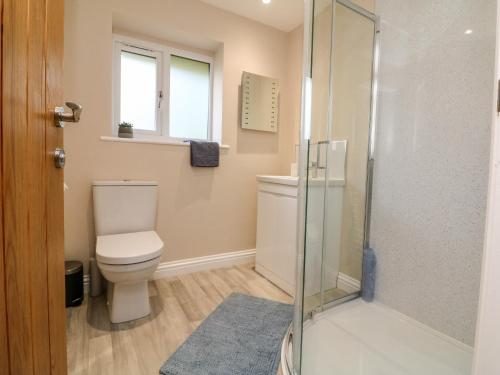 a bathroom with a toilet and a shower at Spicery in Exeter