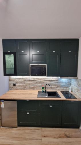a kitchen with green cabinets and a sink at Apartamenty Bliza in Ostrowo