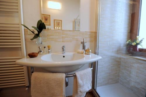 佛羅倫斯的住宿－Acacia Apartments Salvia-Rosmarino，浴室配有白色水槽和淋浴。