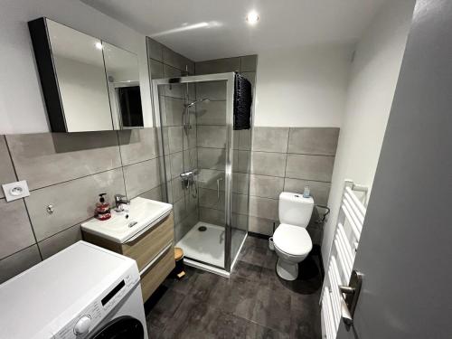une salle de bain avec une douche, des toilettes et un lavabo dans l'établissement Cosy Appartement - Verrens-Arvey, à Verrens-Arvey