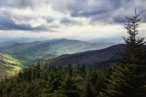 a view of a mountain range with a tree at Honey Bear Slopes by Avada Properties in Gatlinburg