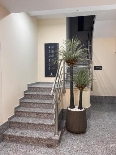 Φωτογραφία από το άλμπουμ του Aparthotel A&M VIÑA II σε Jove