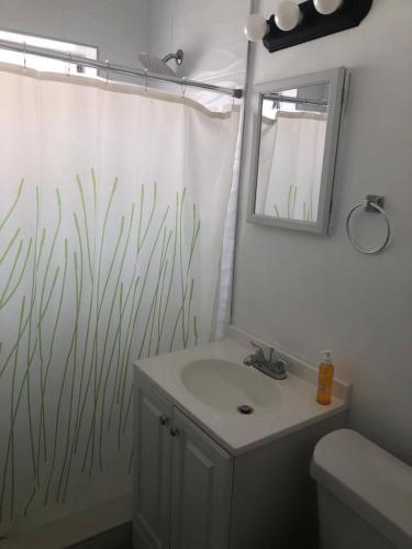 a bathroom with a sink and a shower curtain at 2 Bedroom Apartment Free Reserved Parking in Miami