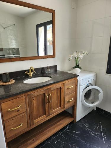 une salle de bain avec un lavabo et une machine à laver dans l'établissement Maison de vacance pour 6 personnes, à Saint-Agnant
