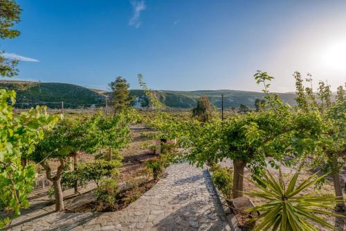 a path through a vineyard with trees and hills in the background at Thea Apartment near the Agkali - Ayia Anna beach in Evia in Kría Vrísi