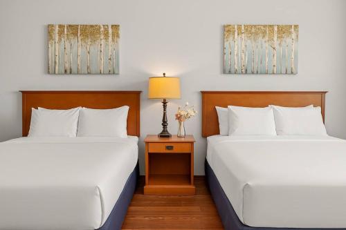 two beds sitting next to each other in a room at Comfy Rockies Retreat for 4 Canmore DT Near Banff in Canmore