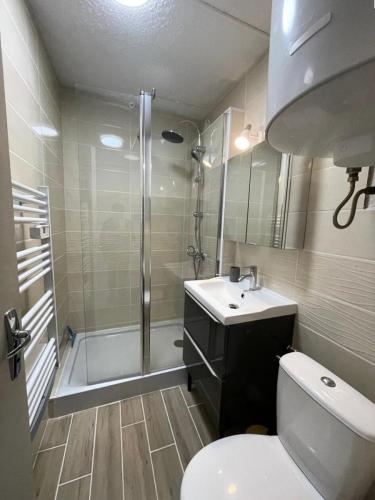 une salle de bain avec toilettes, douche et lavabo dans l'établissement Résidence Pre De Guignan - APPARTEMENT 4 PERSONNES RESIDENCE PRE DE GUIGNAN MAE-8583, à Vielle-Aure