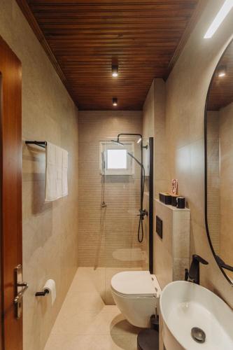 a bathroom with a shower and a toilet and a sink at Nikolaidis Villa Family Friendly in Nea Kallikrateia