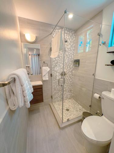 a bathroom with a shower and a toilet at San Pedro Belize La Casa Chiqui in San Pedro
