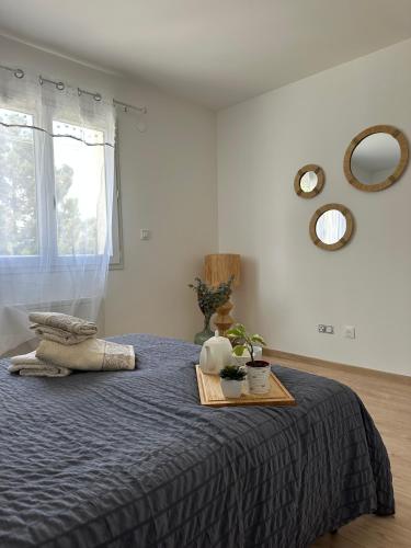 a bedroom with a bed with a blue comforter at La Maison Belle Étoile in Limoux