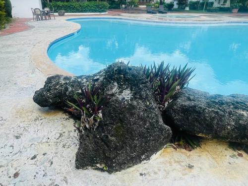 Bazén v ubytování apartment tipo villa, guavaberry villa complex nebo v jeho okolí