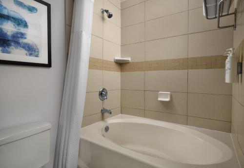 a bath tub in a bathroom with a picture on the wall at Hilton Garden Inn Tampa East Brandon in Tampa