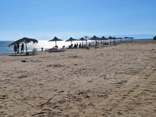 a beach with umbrellas and people on the beach at Villaggio lavie in Ras Sedr