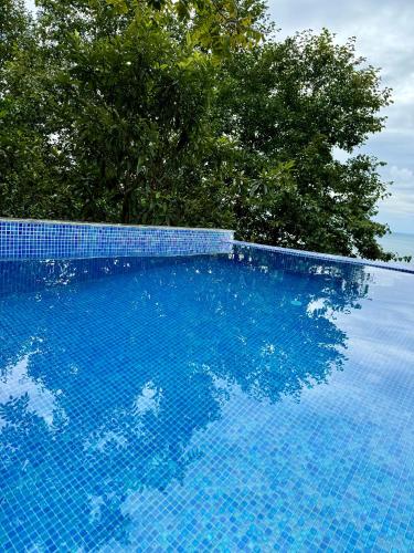 a blue swimming pool with trees in the background at Marco Polo Sarpi Vila 3 in Batumi