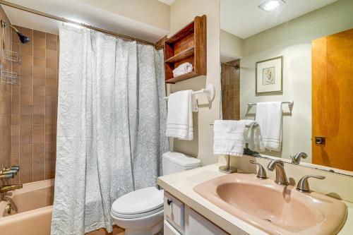 a bathroom with a sink and a toilet and a shower at Pool Access: Scenic Condo in Wintergreen Resort! in Mount Torry Furnace