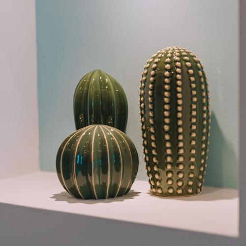 two green cactuses sitting on a shelf at Aura Apartment - next to the beach of Ayia Anna in Kría Vrísi