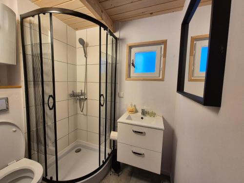 a bathroom with a shower and a toilet and a sink at Domki Schega in Podamirowo