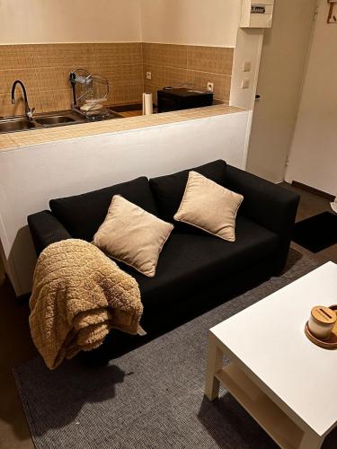 - un canapé noir avec deux oreillers dans le salon dans l'établissement Montblanc, à Nogent-sur-Oise