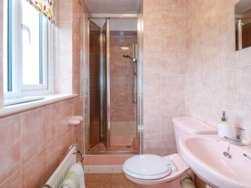 a bathroom with a shower and a toilet and a sink at Godrevy View in St Ives