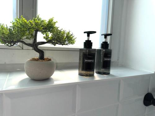 a bathroom shelf with two bottles of soap and a plant at Dein City Apartment - 2 Zi -Schick - Private Parking in Chemnitz