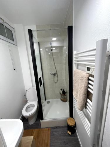 une salle de bain blanche avec douche et toilettes dans l'établissement Apartment 2, à Nogent-sur-Oise