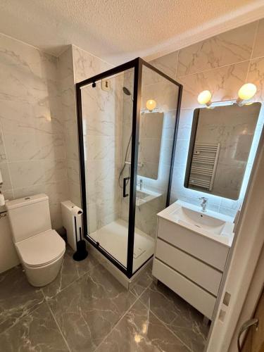 a bathroom with a shower and a toilet and a sink at Grand studio vue mer in Carnon-Plage